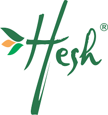 Hesh Logo