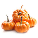 Disco Pumkin