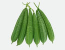 Ridge Gourd / Turiya