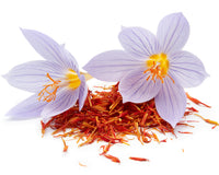 Saffron the Royal Spice