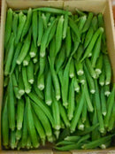 Ladies Finger / Okra