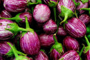 Brinjal / Round Ravya