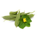 Ridge Gourd / Turiya
