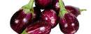 Brinjal / Round Ravya