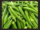 Ladies Finger / Okra